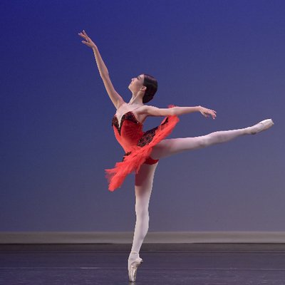 An Early Christmas Gift